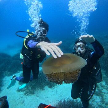 Diving Lampedusa