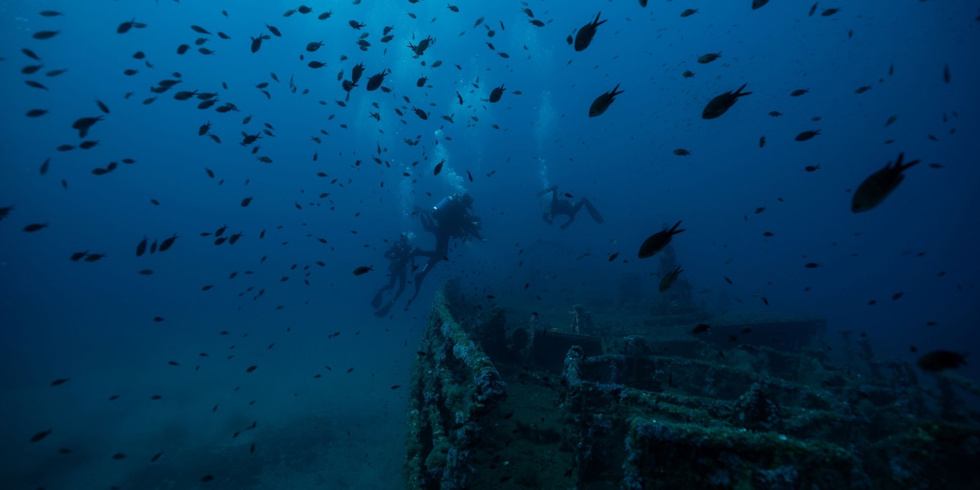 Settimana diving a Cala Gonone, Golfo di Orosei