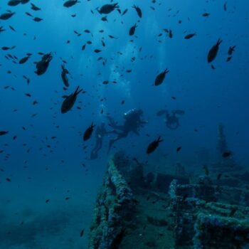 Diving Cala Gonone