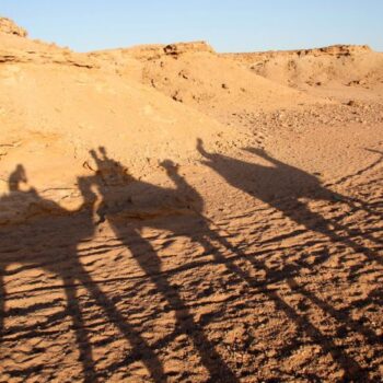 Escursione in cammello, nel deserto